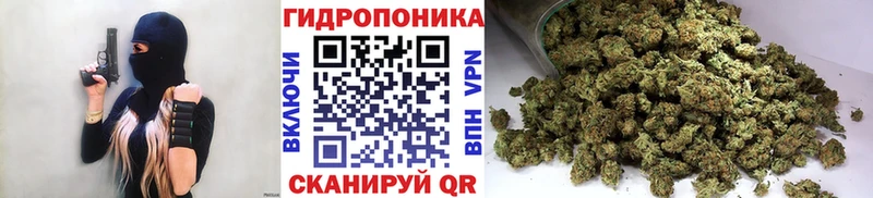 МАРИХУАНА сатива  Купить закладки  Александровск-Сахалинский 